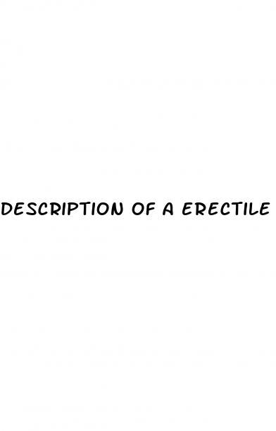 description of a erectile dysfunction