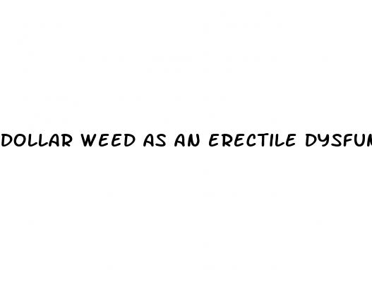 dollar weed as an erectile dysfunction