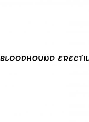 bloodhound erectile dysfunction