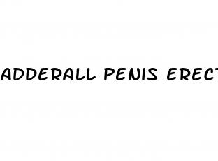 adderall penis erectile dysfunction