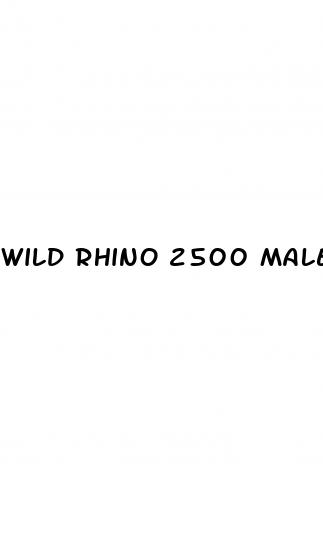 wild rhino 2500 male sexual enhancer
