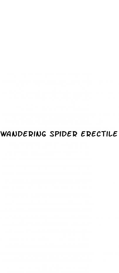wandering spider erectile dysfunction
