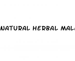 natural herbal male enhancement supplements