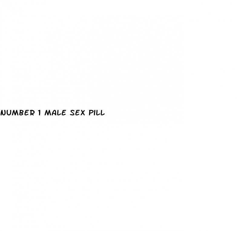 number 1 male sex pill