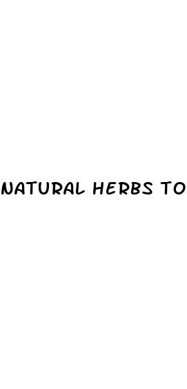 natural herbs to treat erectile dysfunction