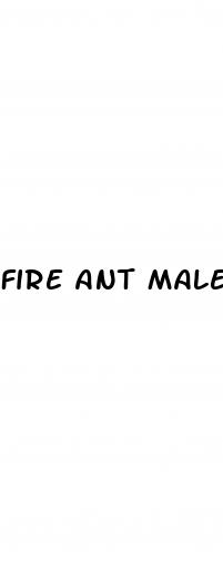 fire ant male enhancement reviews
