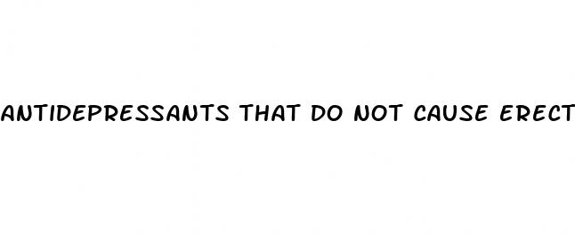 antidepressants that do not cause erectile dysfunction