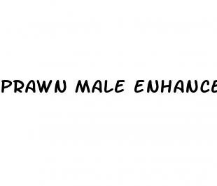 prawn male enhancements