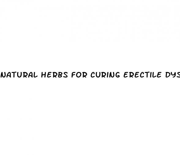 natural herbs for curing erectile dysfunction