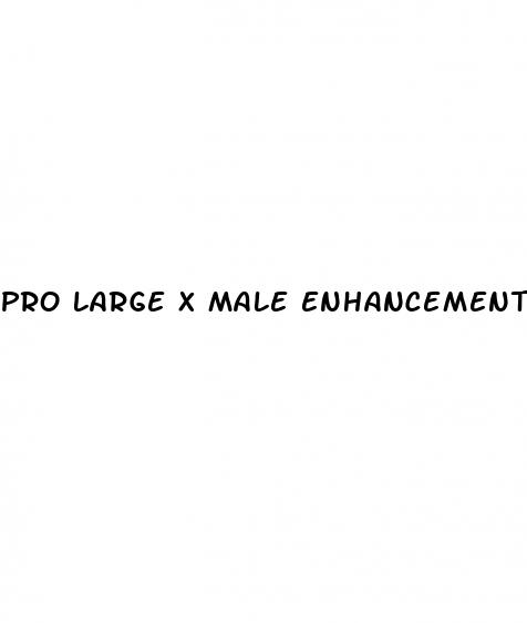 pro large x male enhancement