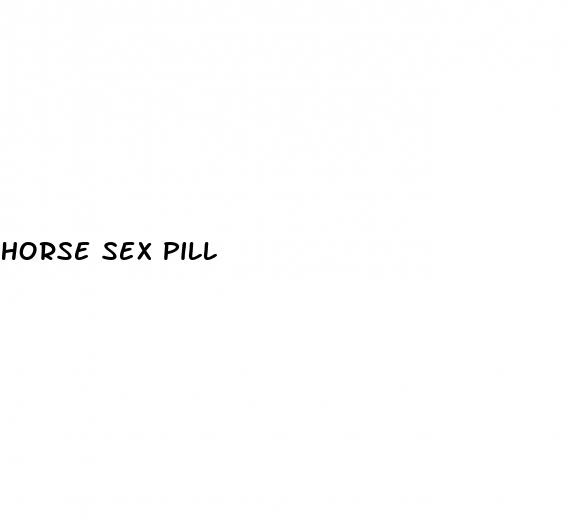 horse sex pill