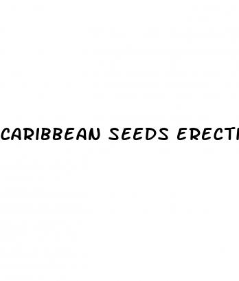 caribbean seeds erectile dysfunction
