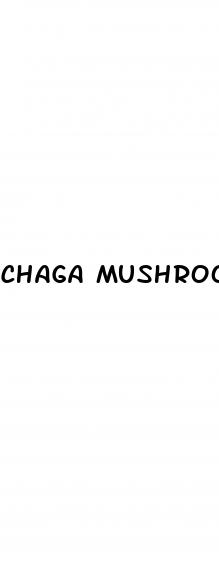chaga mushroom erectile dysfunction