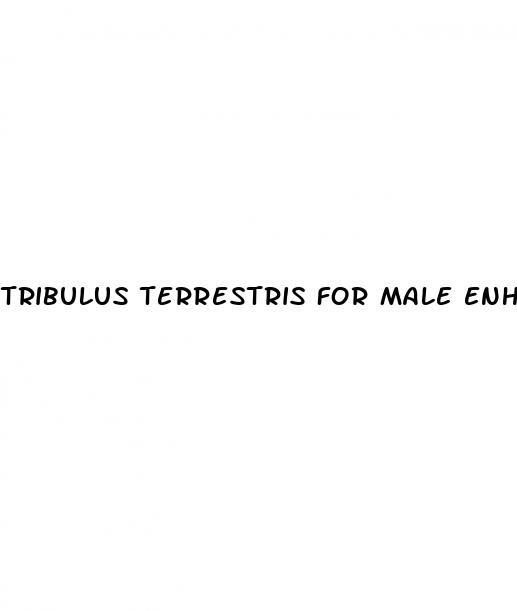 tribulus terrestris for male enhancement