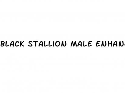 black stallion male enhancement