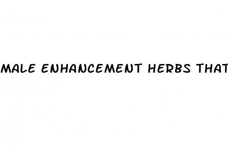 male enhancement herbs that work