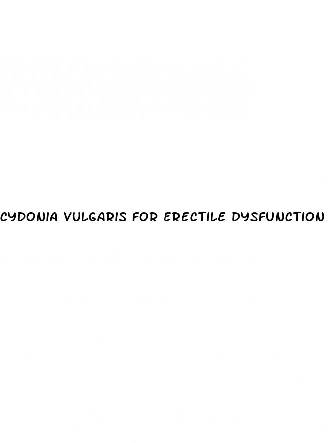 cydonia vulgaris for erectile dysfunction