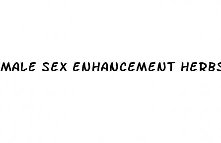 male sex enhancement herbs