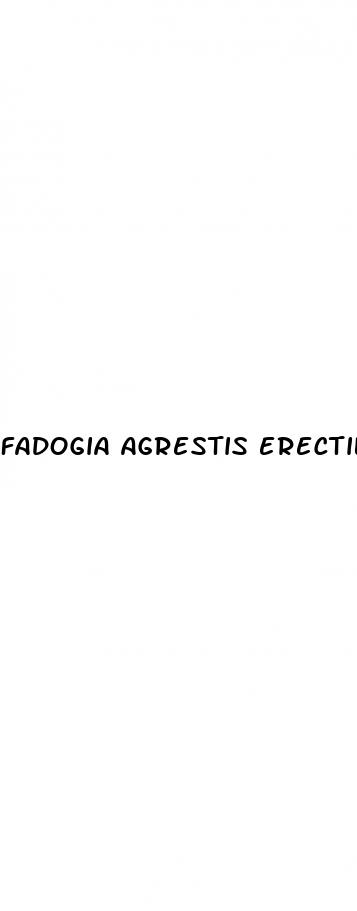 fadogia agrestis erectile dysfunction
