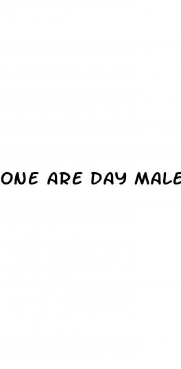 one are day male enhancement tablet