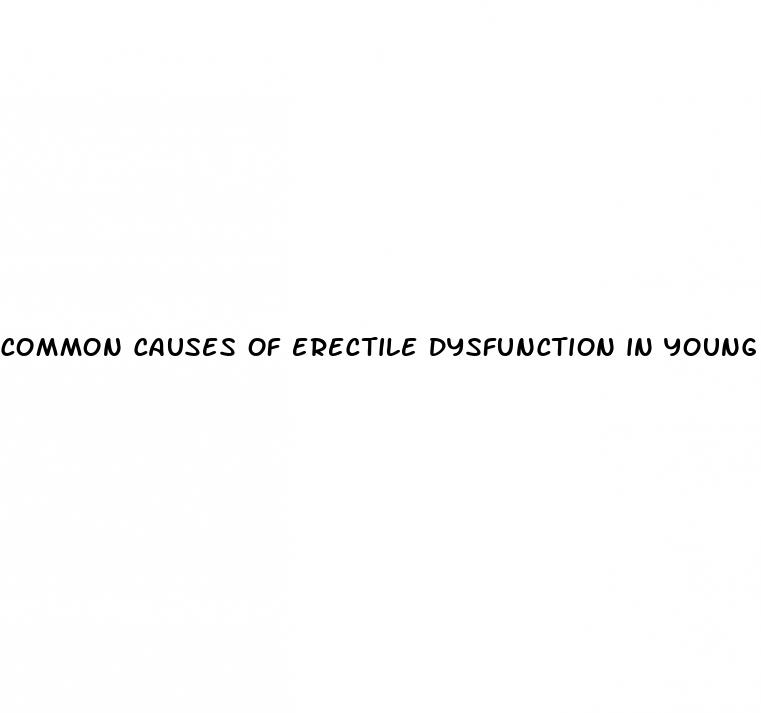 common causes of erectile dysfunction in young males