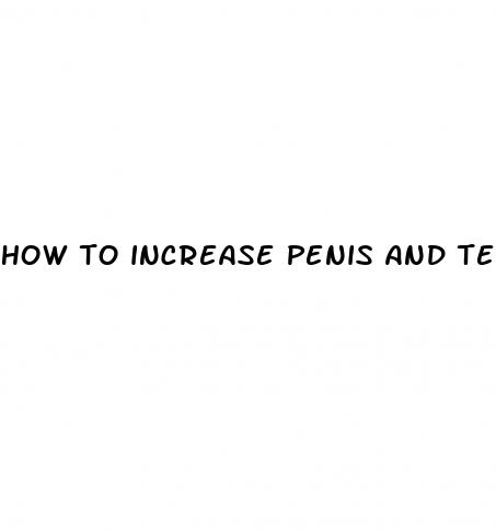 how to increase penis and testes size