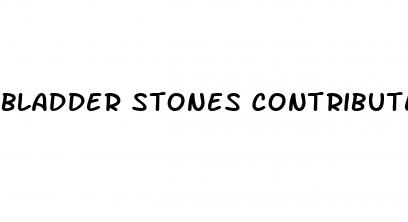 bladder stones contribute to erectile dysfunction