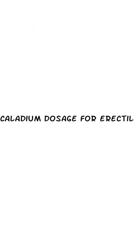 caladium dosage for erectile dysfunction