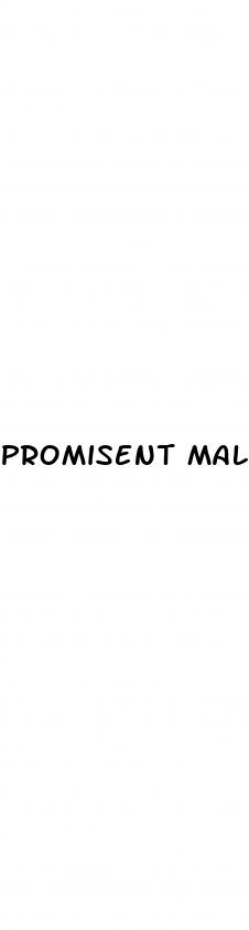 promisent male enhancement