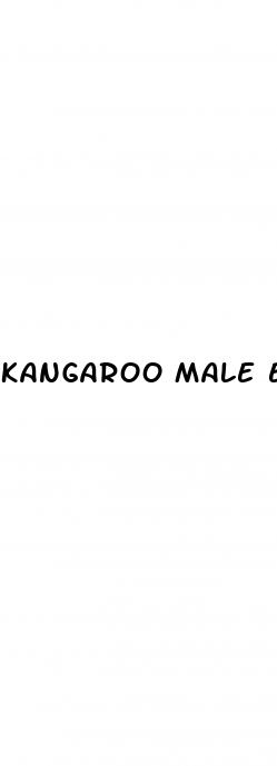 kangaroo male enhancement review