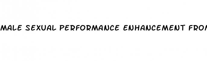 male sexual performance enhancement from india