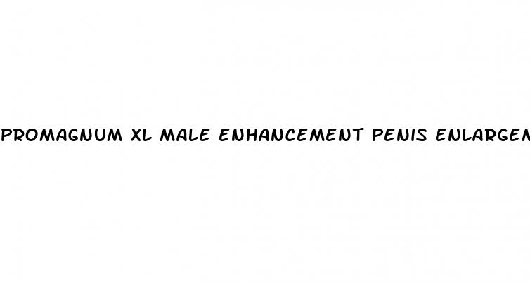 promagnum xl male enhancement penis enlargement pills at