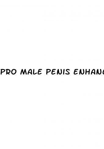 pro male penis enhancement cream