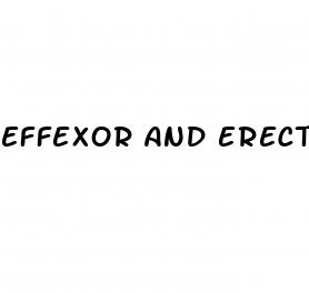 effexor and erectile dysfunction