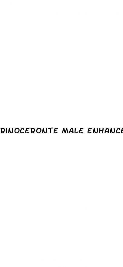 rinoceronte male enhancement