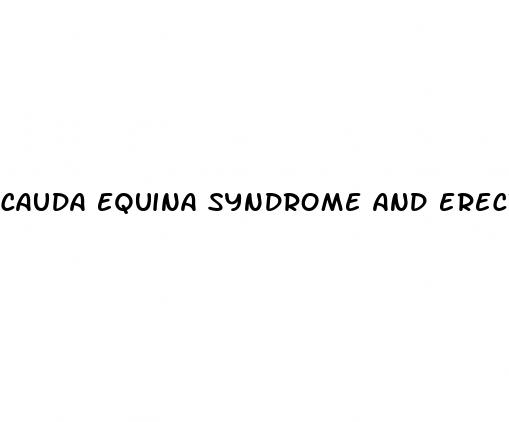 cauda equina syndrome and erectile dysfunction