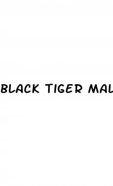 black tiger male enhancement