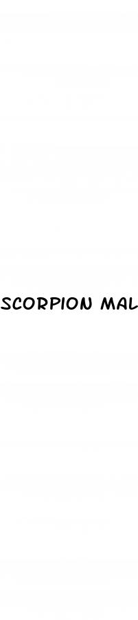 scorpion male enhancement tablets