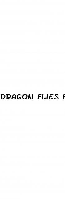 dragon flies flys top male enhancer