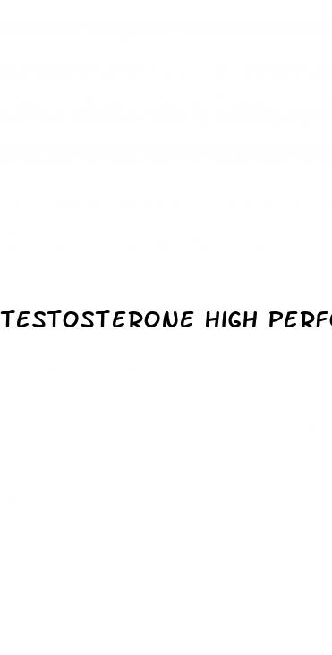 testosterone high performance male enhancement pills