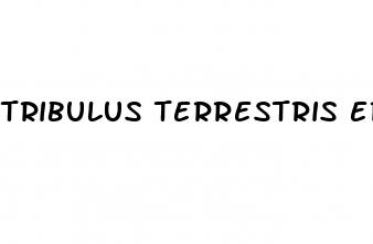 tribulus terrestris erectile dysfunction