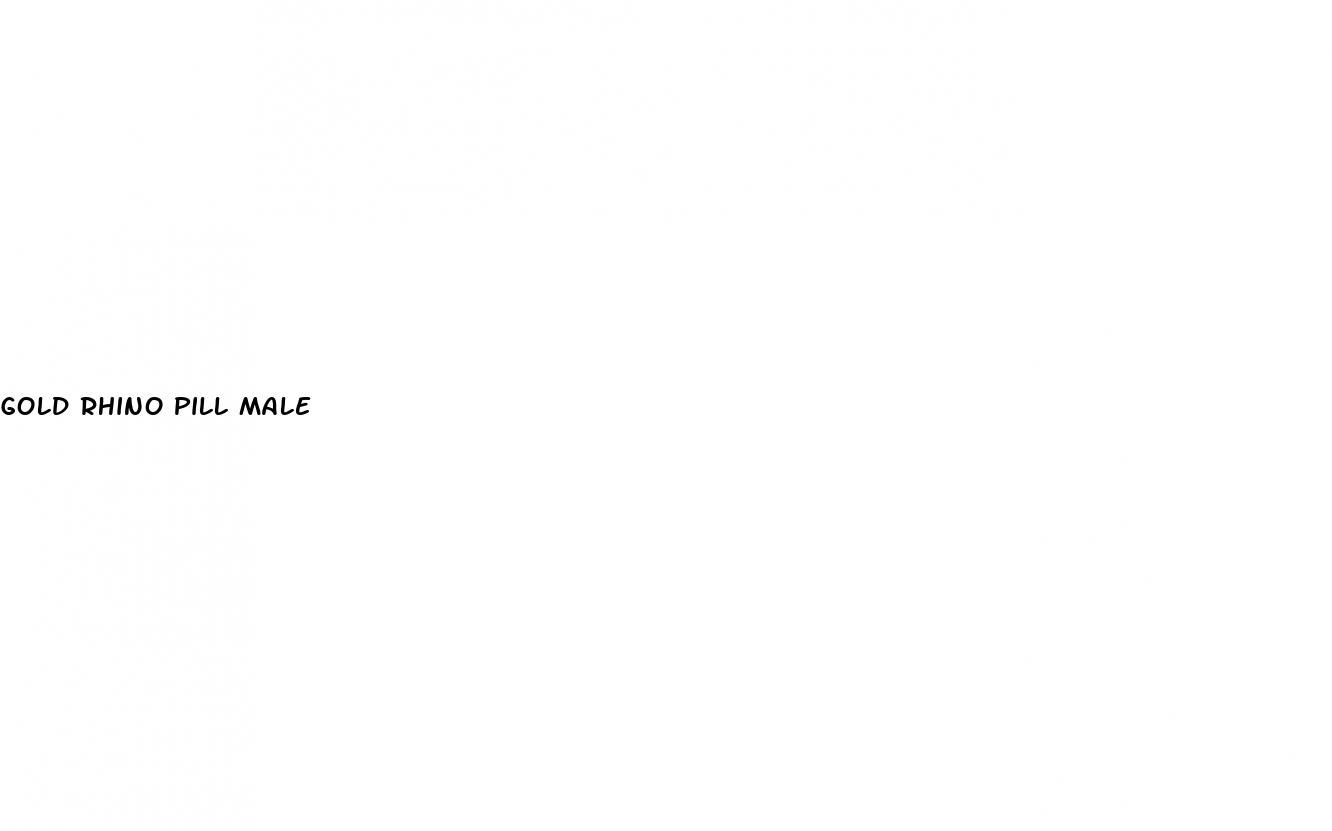 gold rhino pill male