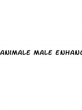 animale male enhancement cbd gummies