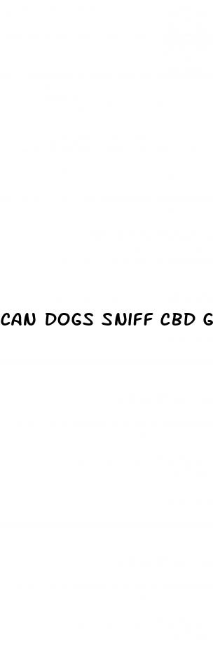 can dogs sniff cbd gummies