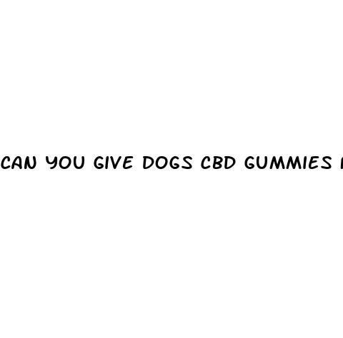 can you give dogs cbd gummies for pain