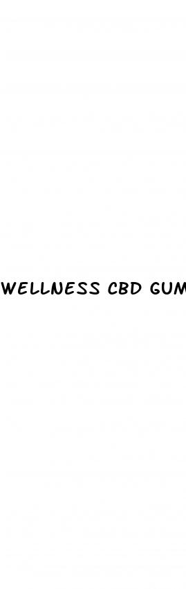 wellness cbd gummies