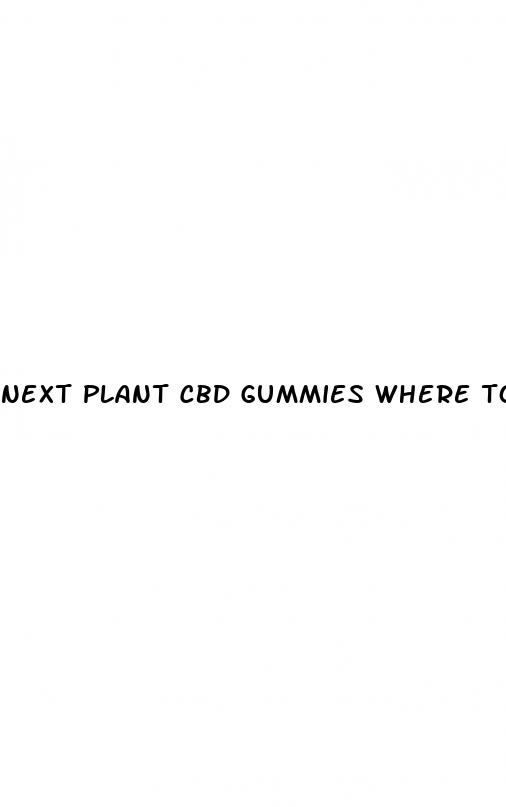 next plant cbd gummies where to buy