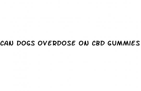 can dogs overdose on cbd gummies