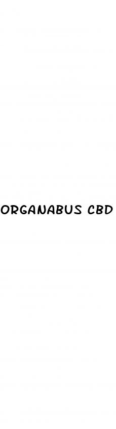 organabus cbd gummies