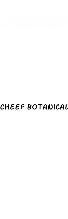 cheef botanicals cbd gummies review